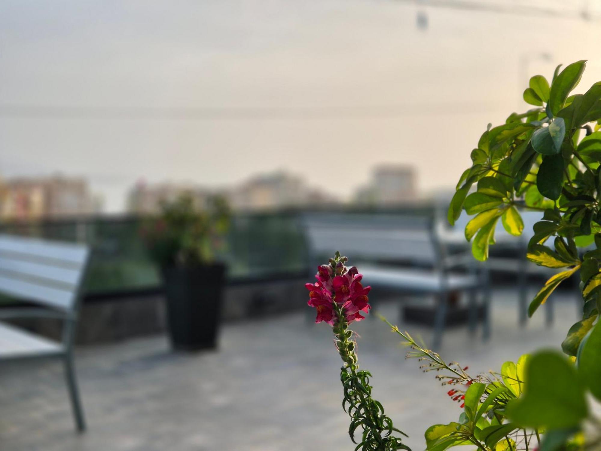 Flore Rooms Saranda Dış mekan fotoğraf